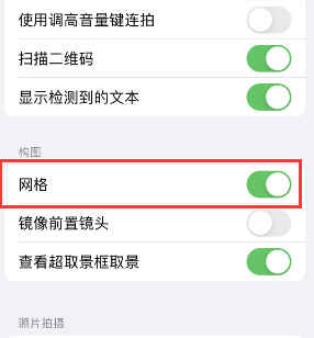 滨江苹果手机维修网点分享iPhone如何开启九宫格构图功能 