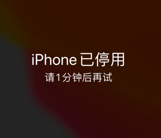 滨江苹果手机维修分享:iPhone 显示“不可用”或“已停用”怎么办？还能保留数据吗？ 