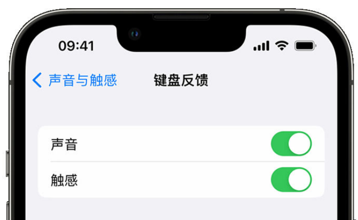 滨江苹果手机维修分享iPhone 14触感键盘使用方法 