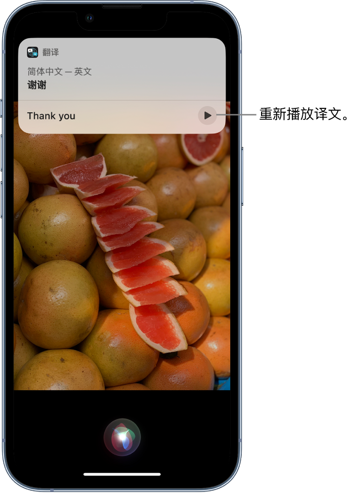 滨江苹果14维修分享 iPhone 14 机型中使用 Siri：了解 Siri 能帮你做什么 