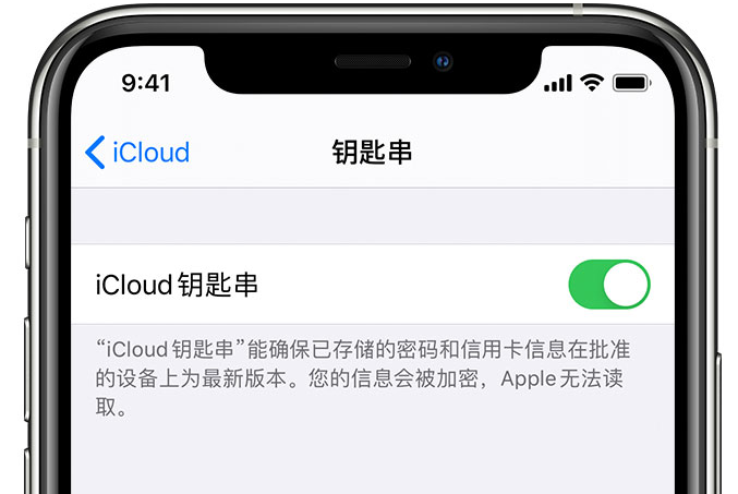 滨江苹果手机维修分享在 iPhone 上开启 iCloud 钥匙串之后会储存哪些信息 