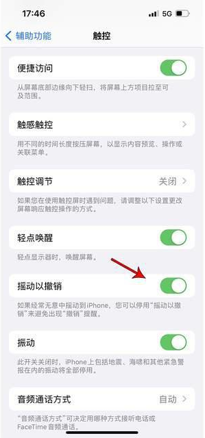 滨江苹果手机维修分享iPhone手机如何设置摇一摇删除文字 