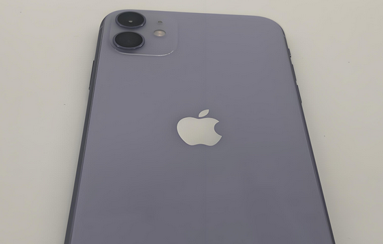 滨江苹果11系统维修分享iPhone11手机系统崩溃无法开机如何解决 